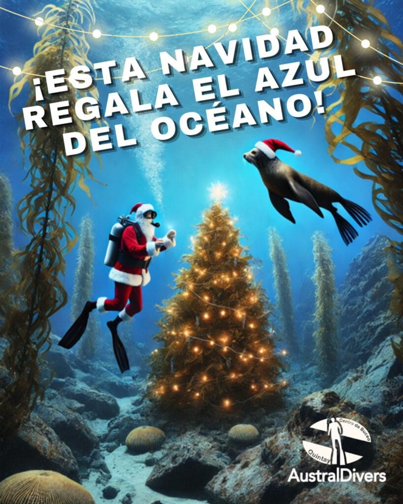 Imagen de WhatsApp 2024-12-07 a las 19.05.25_039079b2